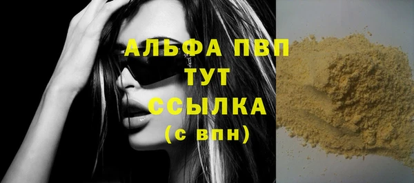 гидра Белокуриха