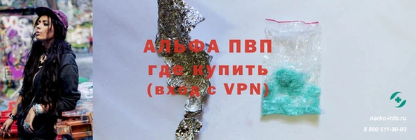 гидра Белокуриха