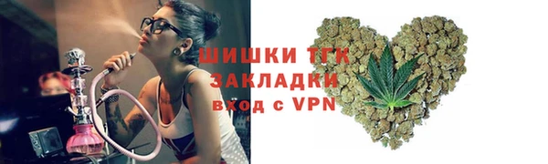 гидра Белокуриха