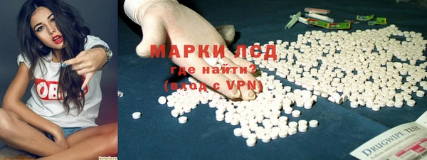 гидра Белокуриха