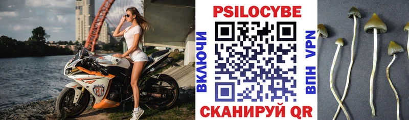 Псилоцибиновые грибы Psilocybine cubensis Куровское